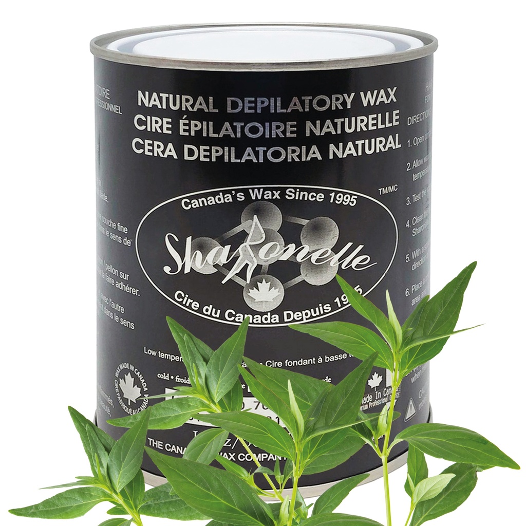 SHARONELLE® Soft Wax Tea Tree 18 oz *SPECIAL PRICE ON THE PURCHASE OF 24 & MORE*