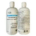 Gluconate de chlorhexidine aqueuse à 2 % 450 ml